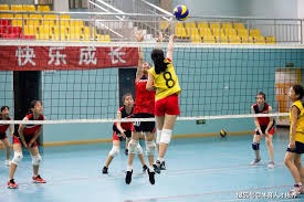 麻将学习常见误区（麻将学习中的典型误区）