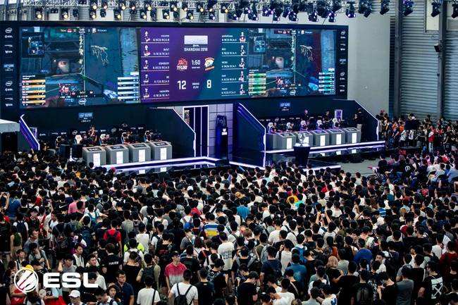 明星效应的 明星效应的